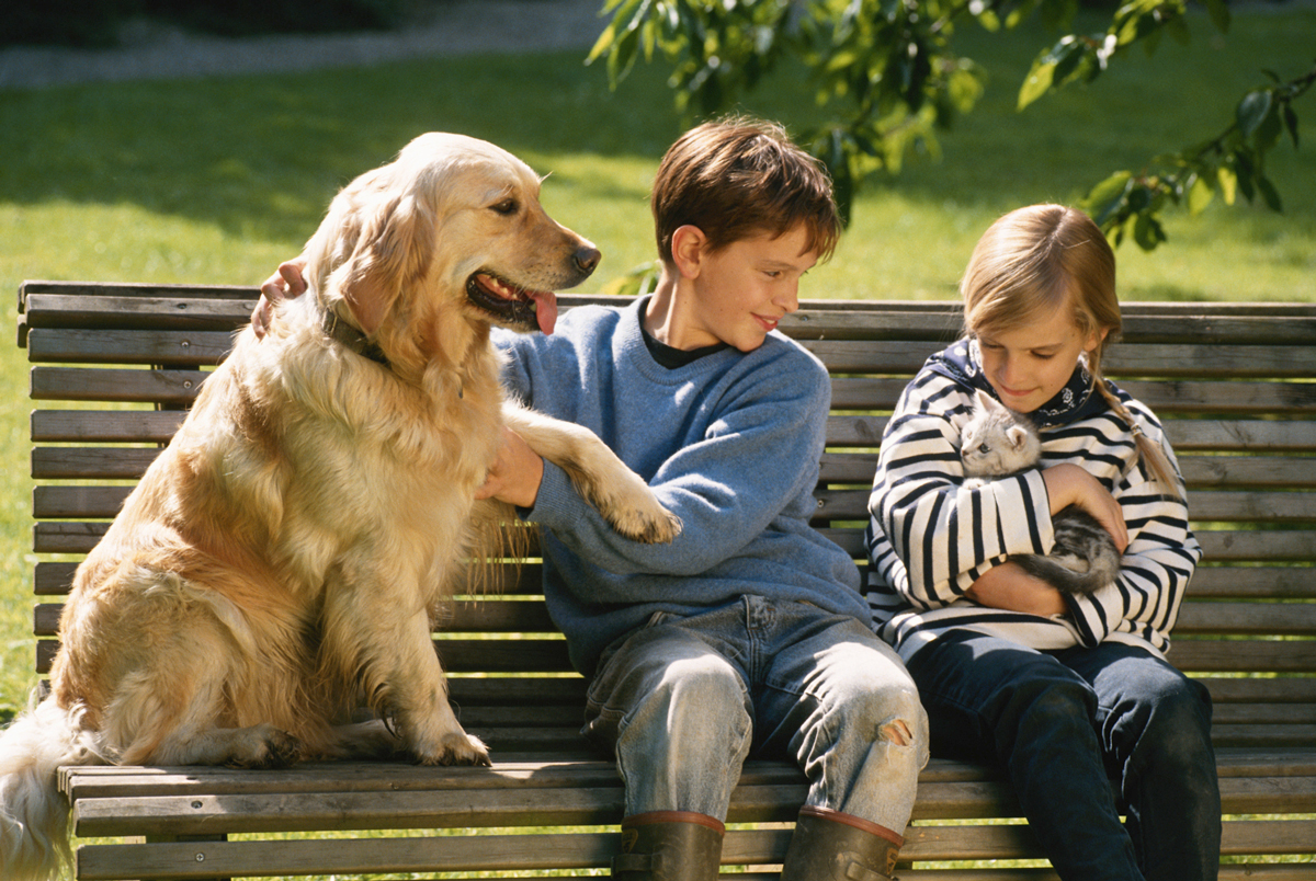 Two young children sitting on a park bench with a dog and a cat