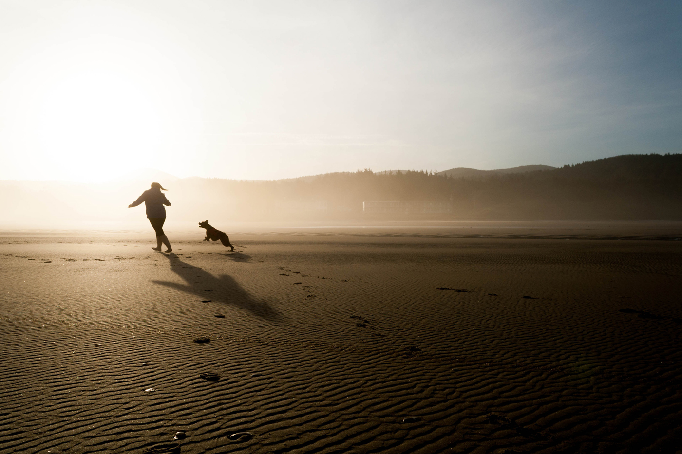 A man and his dog walking along a sandy beach at dusk with mist rolling in