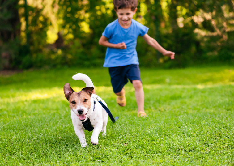 Child and Jack Russel playing outside