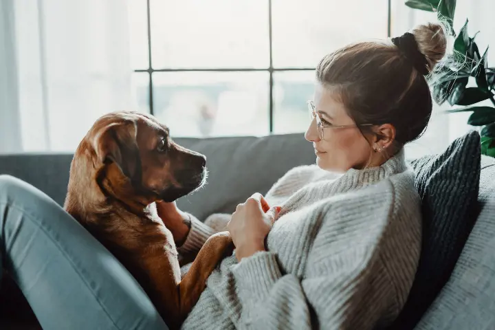 brown dog and woman sat on sofa together