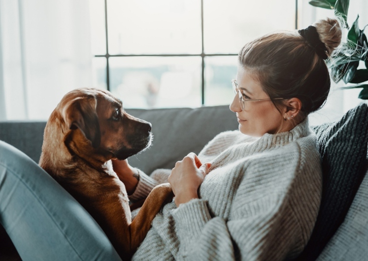 Brown dog and woman lying on a sofa together
