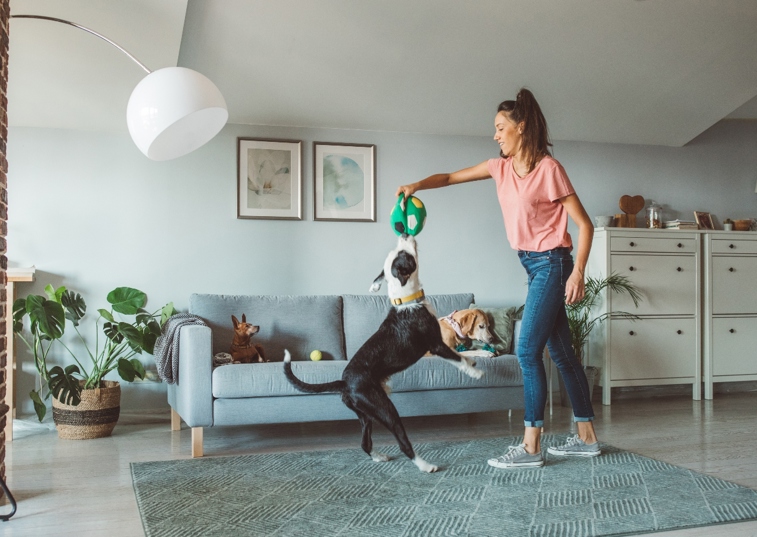 woman playing with a dog