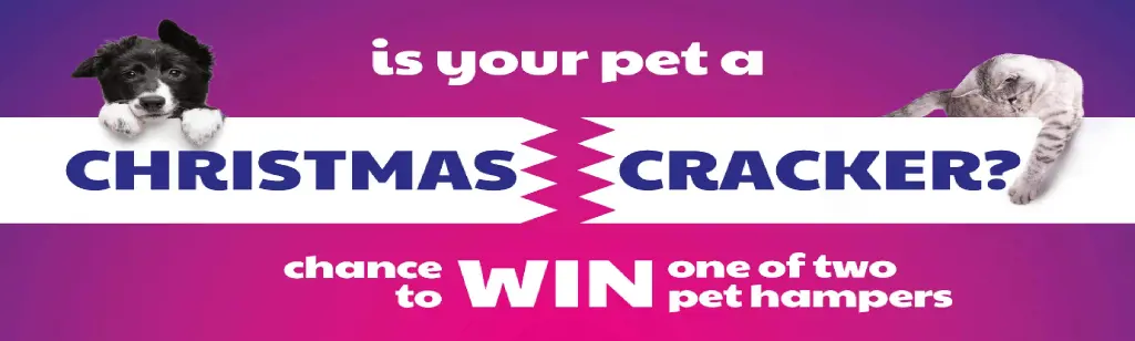 Purely Pets Christmas Cracker Competition Banner