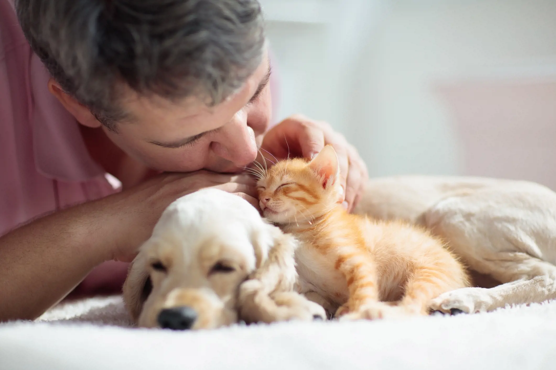 A man kissing the head of a kitten as it leans against a puppy