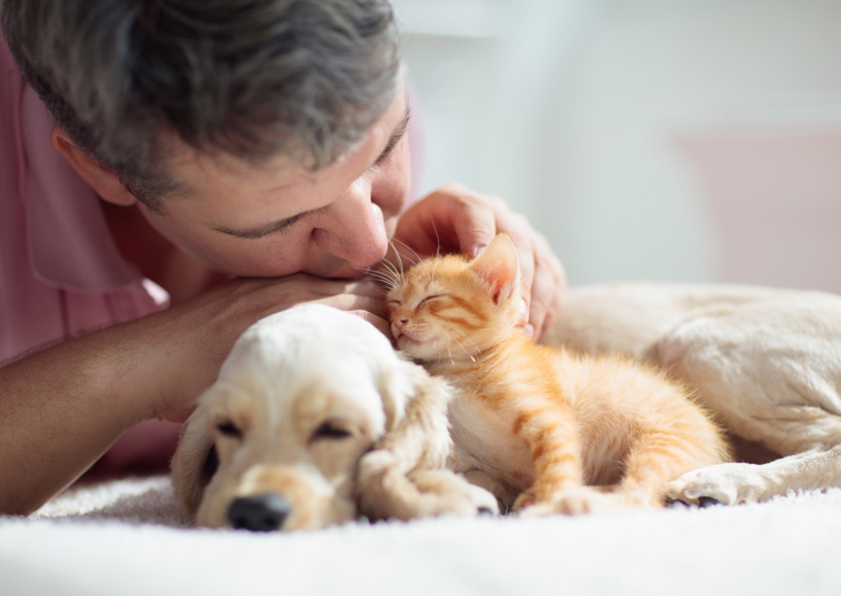 Man stroking kitten which is resting on puppy