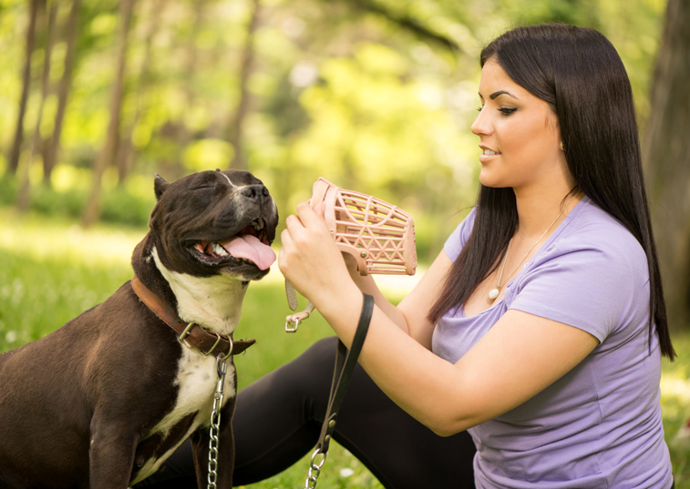 A woman sitting down outside putting a muzzle on a dog