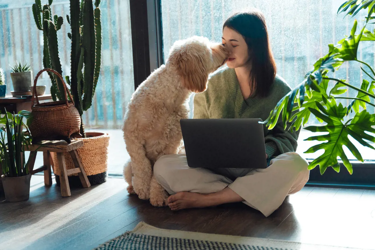 A Dog Kissing Their Owner