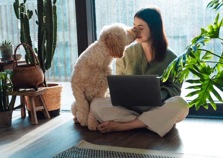 A Dog Kissing Their Owner