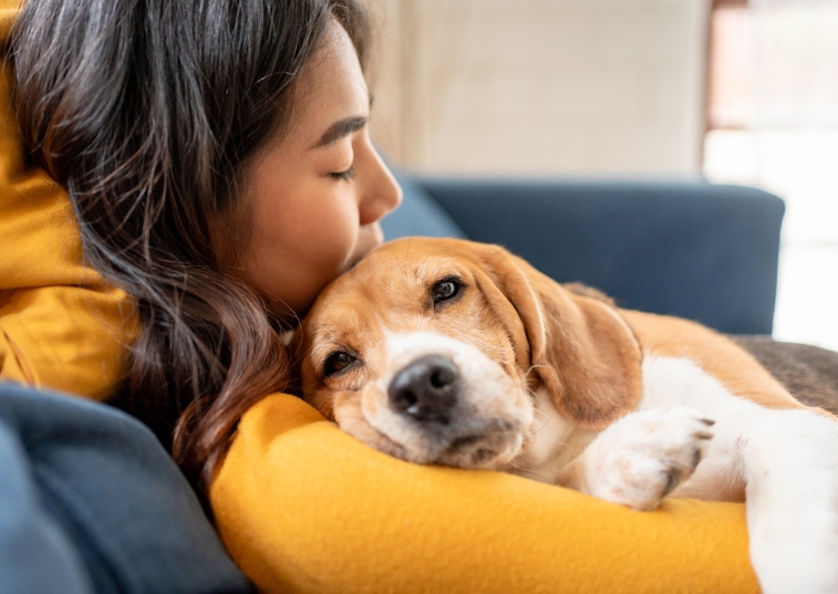 Dog And Owner Napping Together