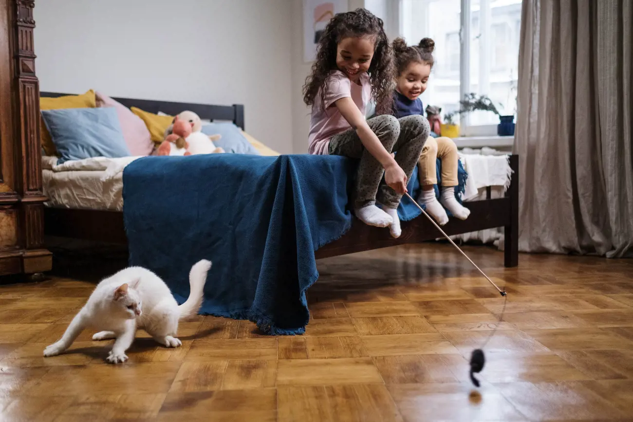 Children playing with cat with cat toy