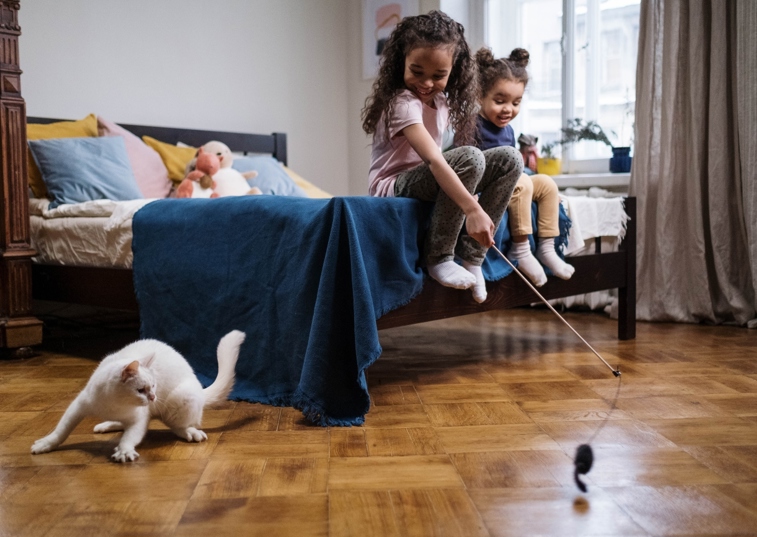 Children playing with cat with cat toy