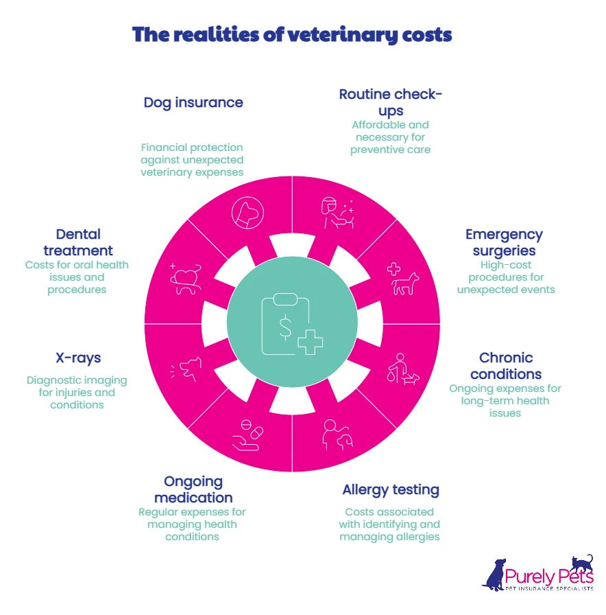 the realities of vet costs