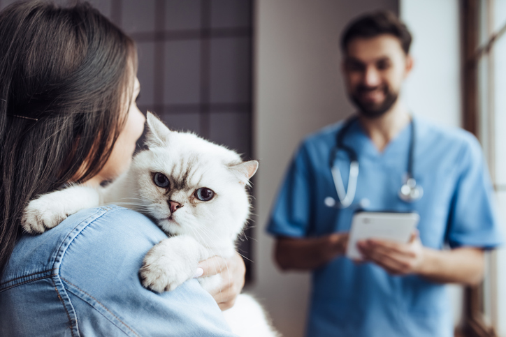 A woman holding a cat walking towards a vet