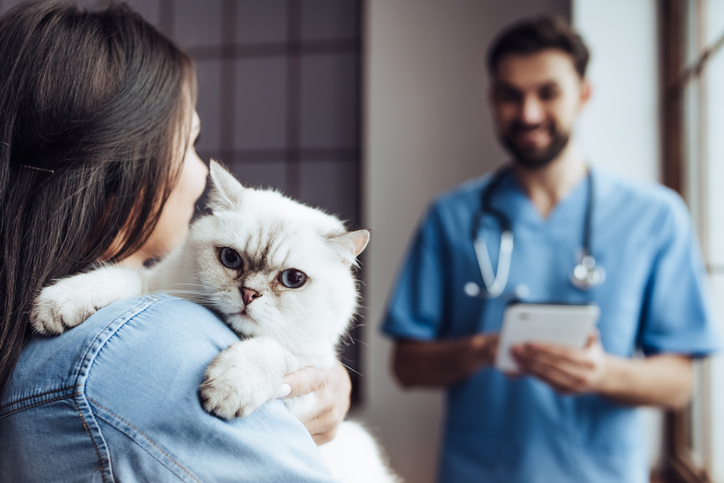 An owner carrying a kitten over to a vet in uniform holding a clipboard