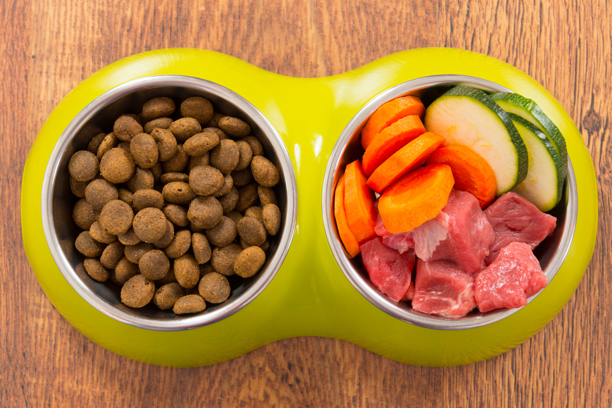 Two dog food bowls, one with kibble and the other containing raw meat and vegetables