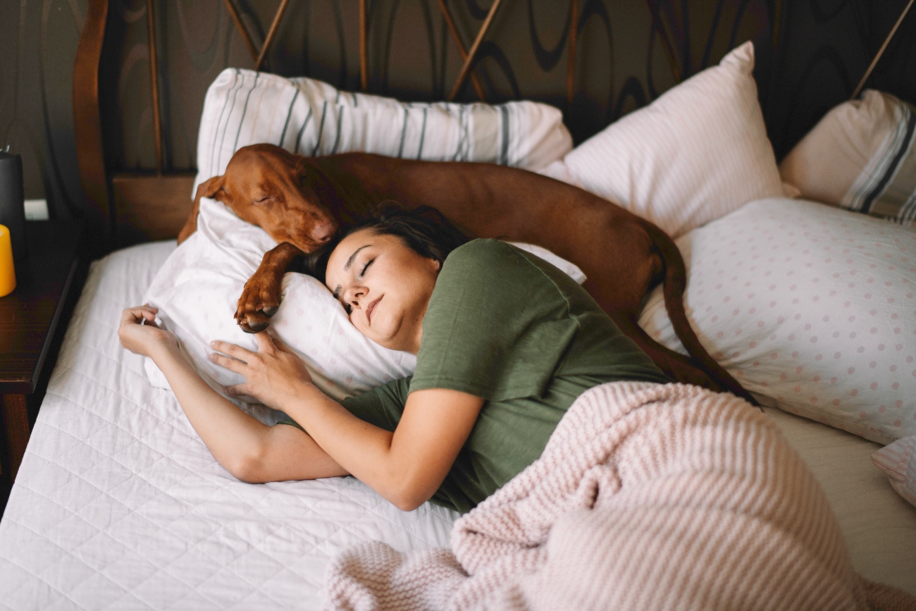Dog owner sleeping in bed with a dog