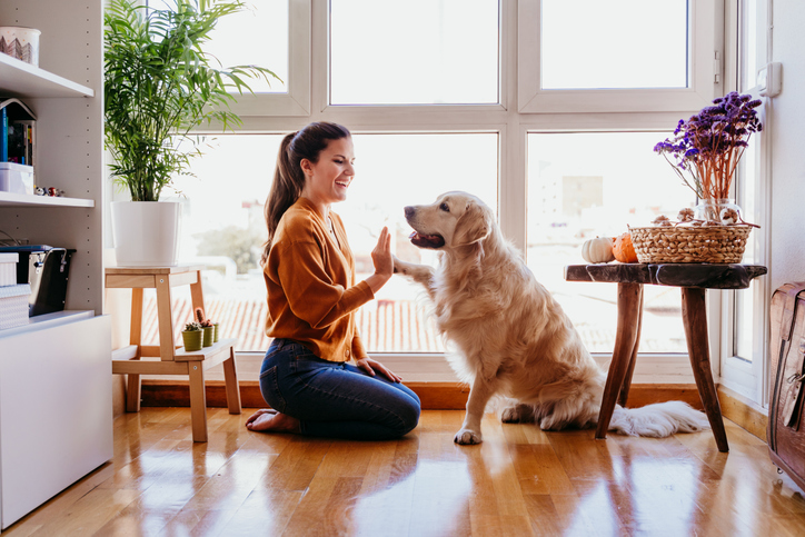 Lady playing with her dog