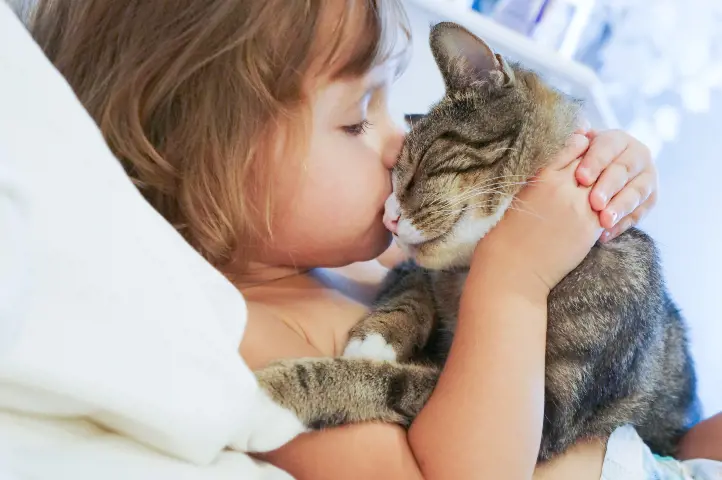 toddler kissing cats head