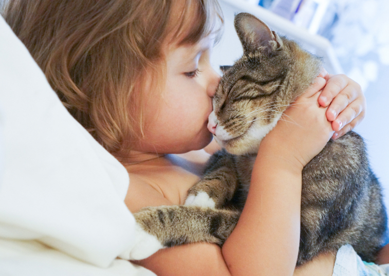 toddler kissing cats head