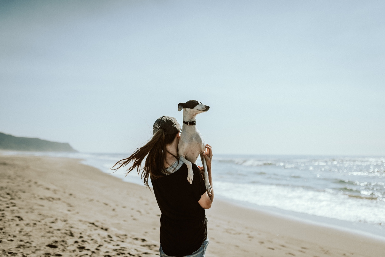 dog being lifted at beach