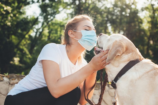 Loving Dog with owner