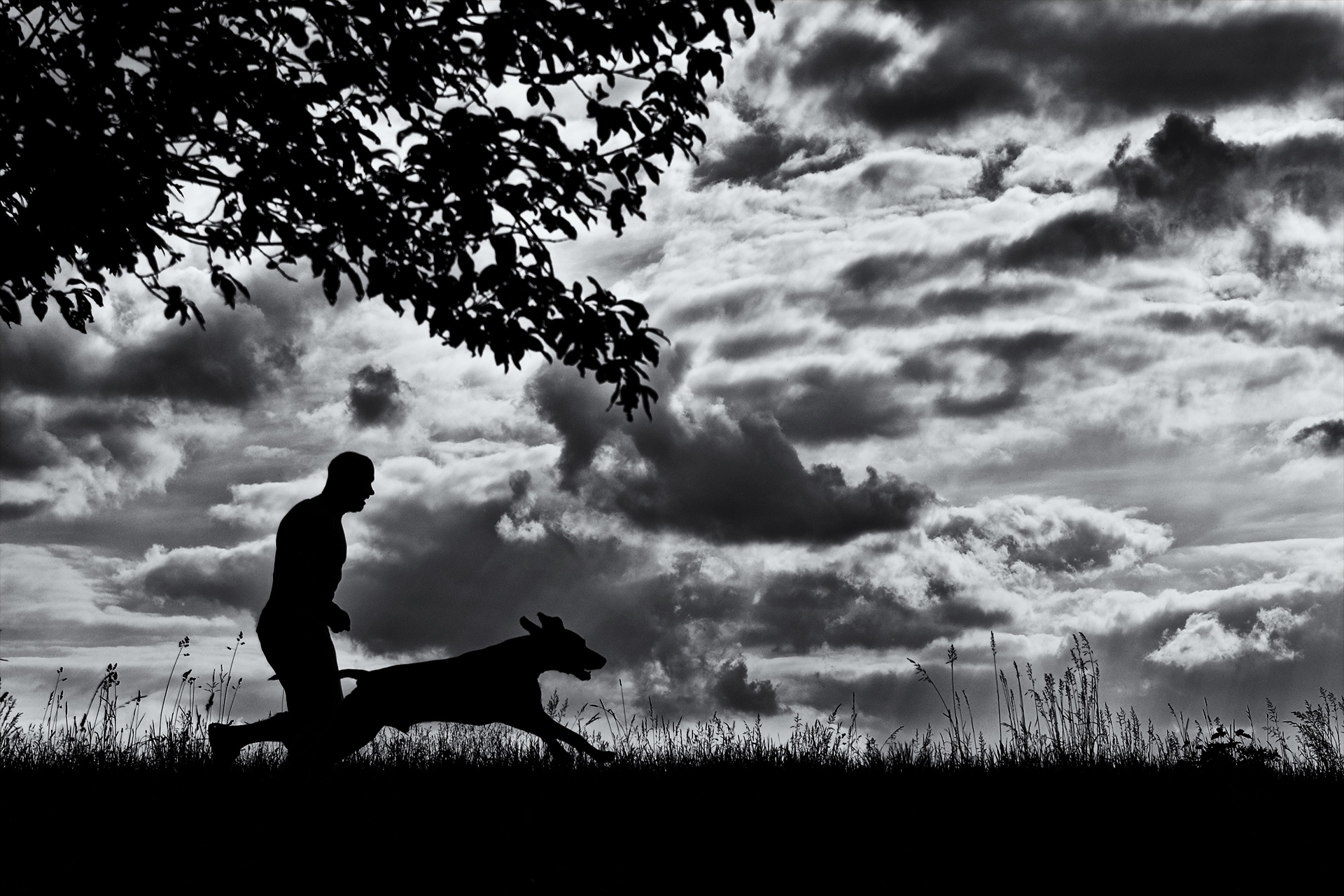 A man running with his dog against a dark sky