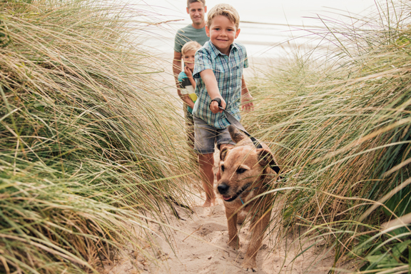 A family walking a dog on a sandy beach