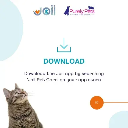 steps to download the joii app