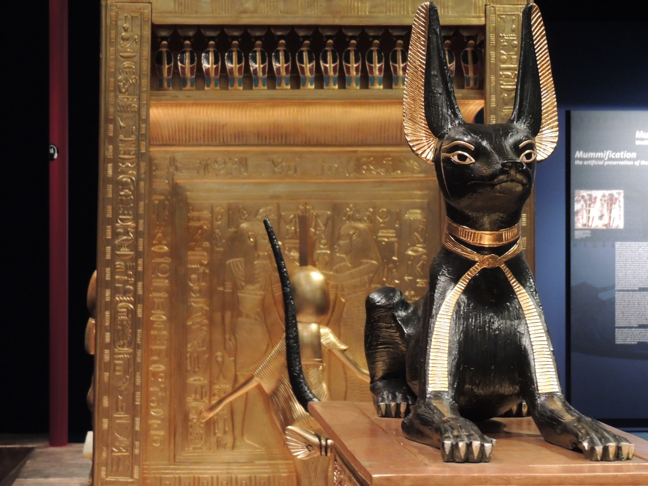 A statue of a cat in an ancient Egypt museum display