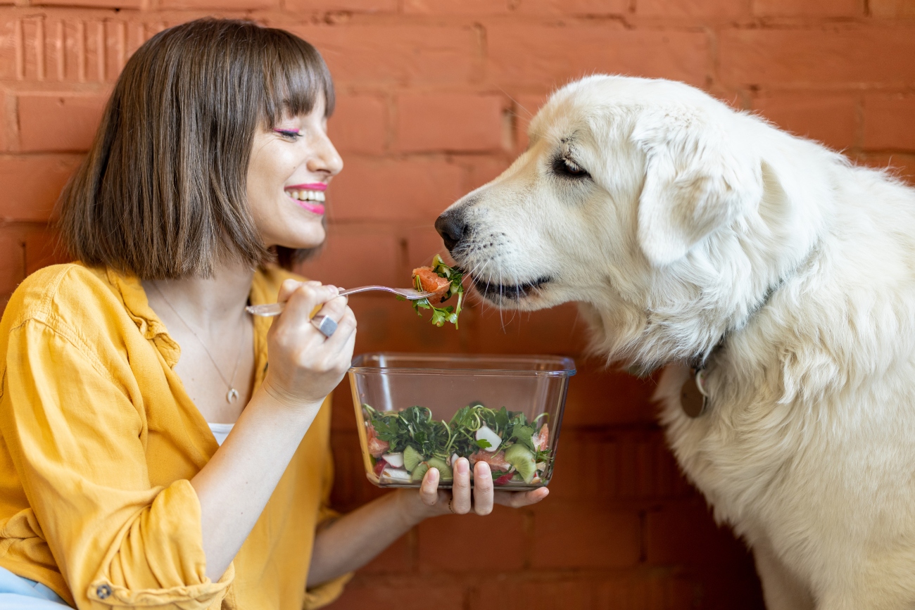 Can dogs eat parsnips raw hotsell