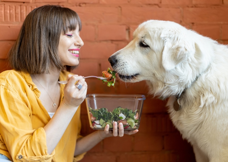 Dog eating vegetables from a fork