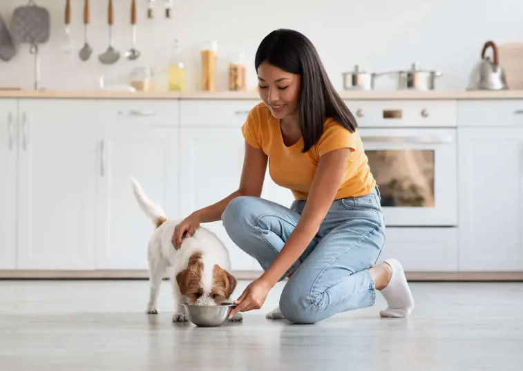 dog eating from a bowl with owner in kitchen 
