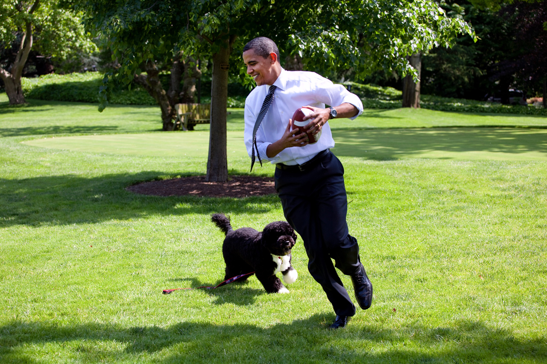 Barack Oboma running aroound the White House garden playing with dog Bo