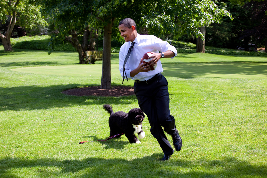 Barrack Obama and his dog Bo running in the garden of the White house