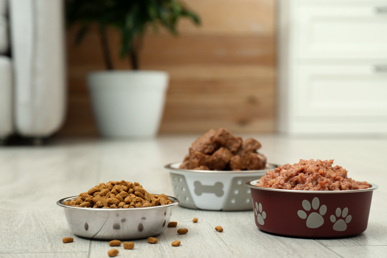 bowls of different types of dog food