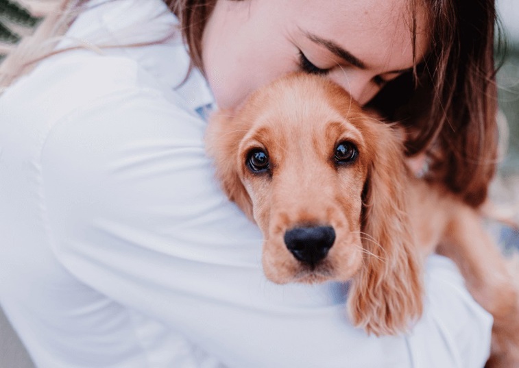 Are dogs good for mental health?