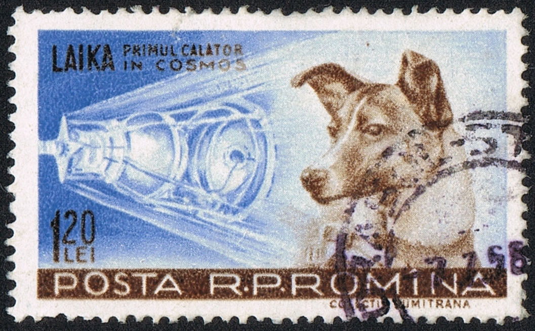 A stamp depicting Laika, the first dog in space