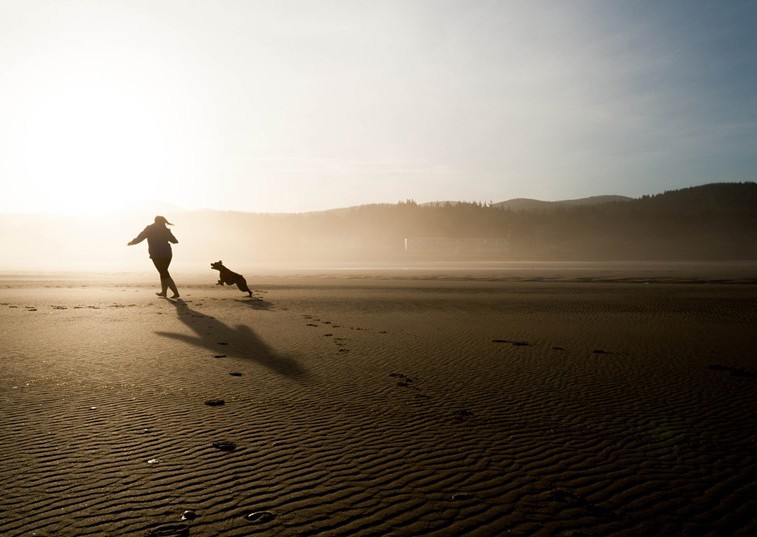 Sunset dog running on beach with owner