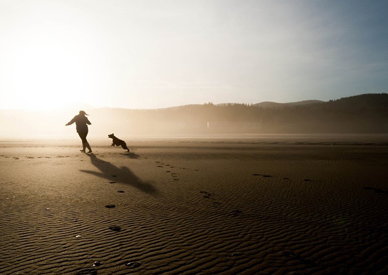 Which dogs make the best running partners?