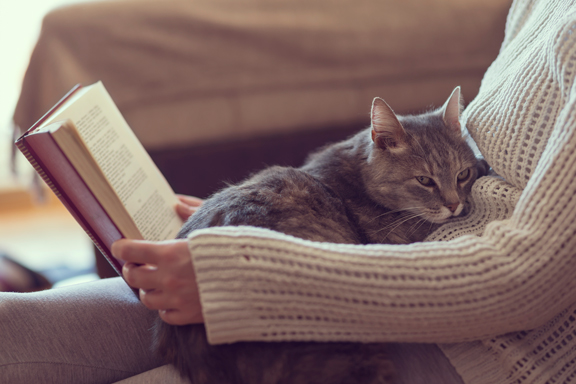 A woman reading a book on her sofa with a cat on her lap