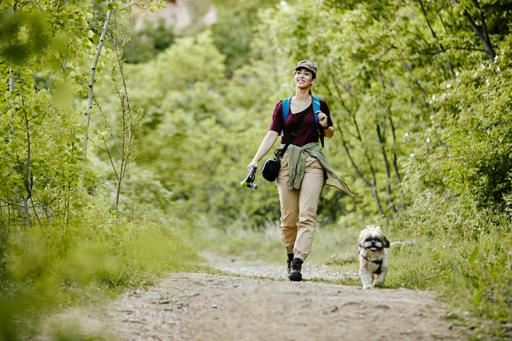 Nature dog walk