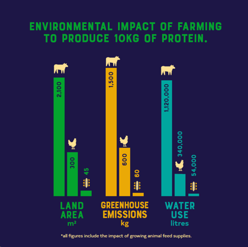 Graph to show environmental impact of farming to produce 10kg of protein