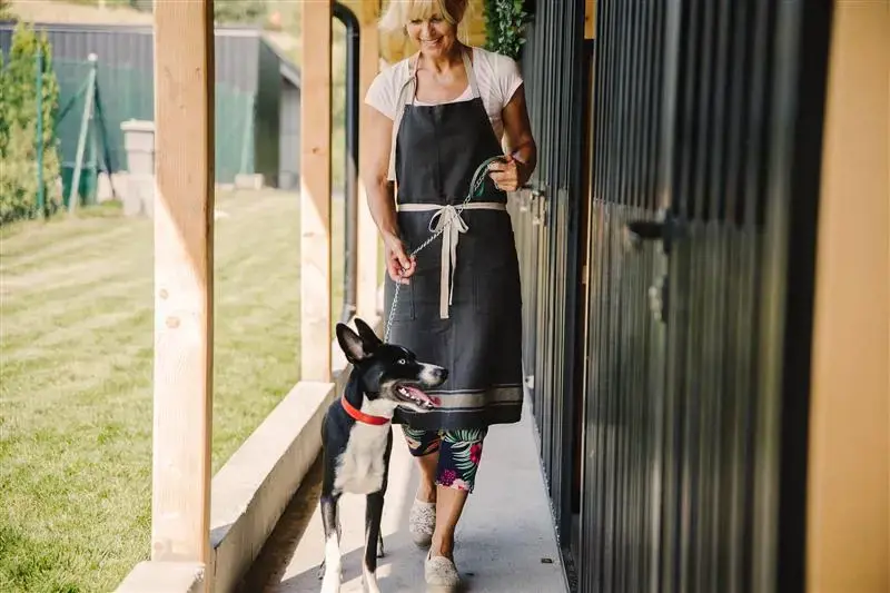 woman playing with a dog