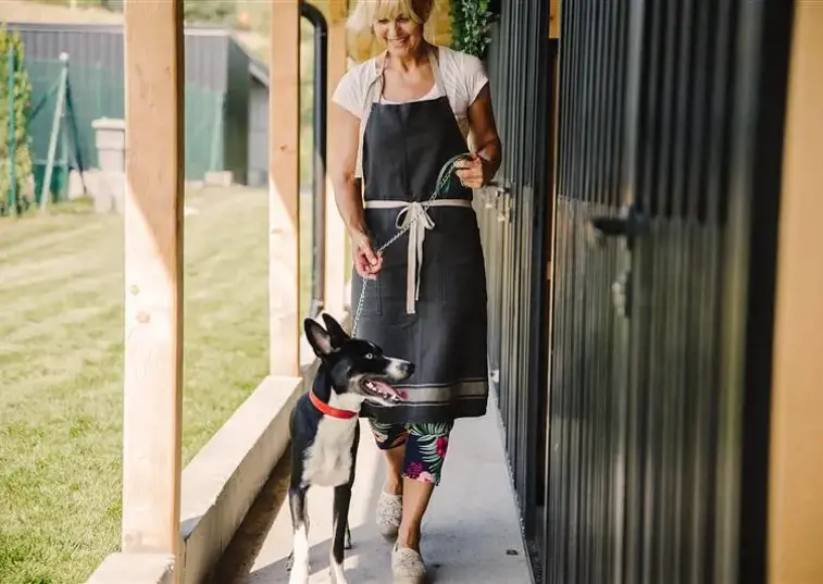 woman playing with a dog