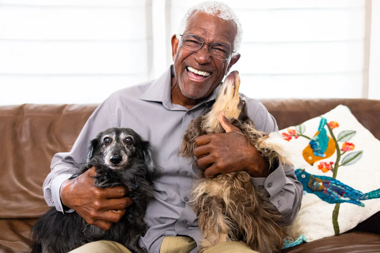An Elderly Man With To Elderly Dogs
