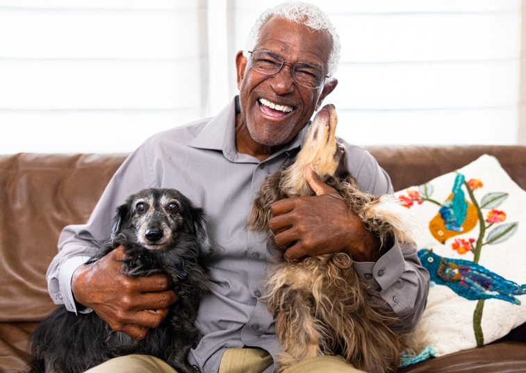 An Elderly Man With To Elderly Dogs