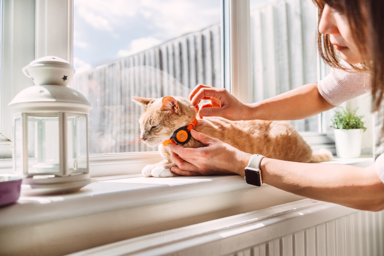 woman putting an airtag on a cat