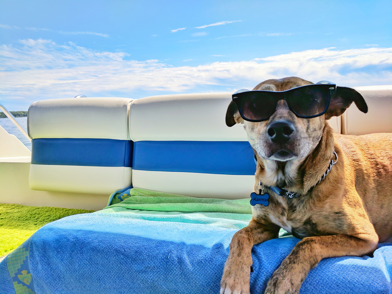 A dog laying on a seat on a boat wearing sunglasses