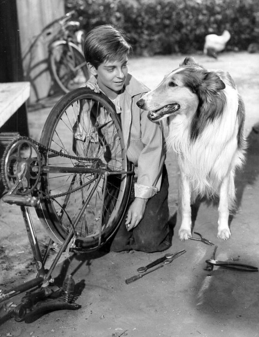 Tommy Rettig with Lassie Junior, son of Pal, the first Lassie, in the Lassie television series