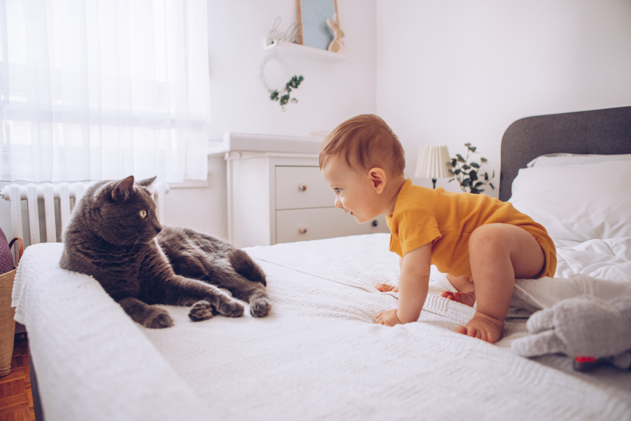 A baby crawling towards a cat on a bed